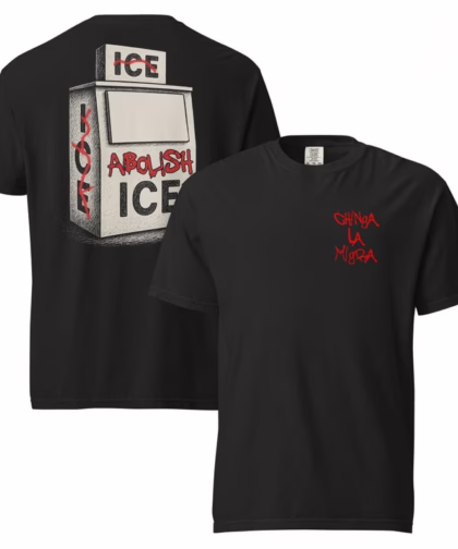 Funny Anti Trump Abolish Ice T Shirt, Fuck Ice Shirt, No King Day Shirt, Resist Sweatshirt