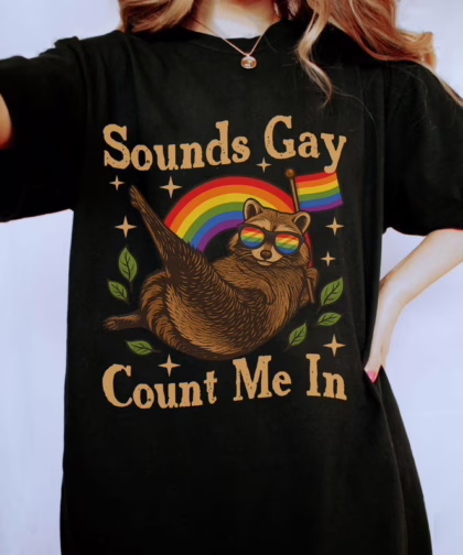 Gay Count Me In Racoon LGBT Shirt, Gift for LGBT Community, Pride Month T Shirt, Equality Sweatshirt