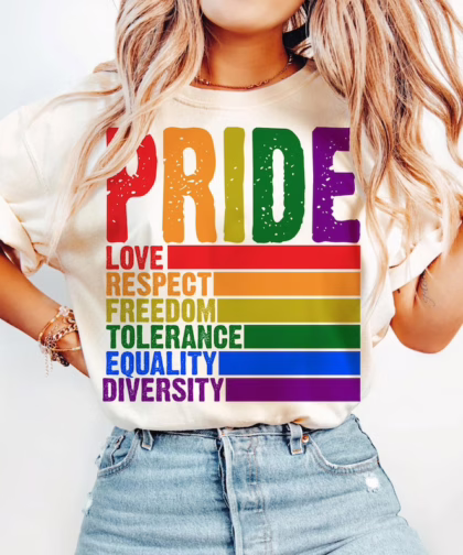 Pride Definition T Shirt, LGBT Sweatshirt, Pride Month Shirt, Equality Crewneck Sweatshirt, Gay Lesbian Gift