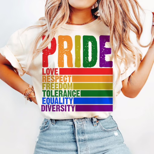 Pride Definition T Shirt, LGBT Sweatshirt, Pride Month Shirt, Equality Crewneck Sweatshirt, Gay Lesbian Gift