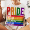 Pride Definition T Shirt, LGBT Sweatshirt, Pride Month Shirt, Equality Crewneck Sweatshirt, Gay Lesbian Gift