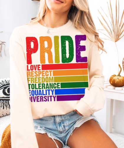 Pride Definition T Shirt, LGBT Sweatshirt, Pride Month Shirt, Equality Crewneck Sweatshirt, Gay Lesbian Gift
