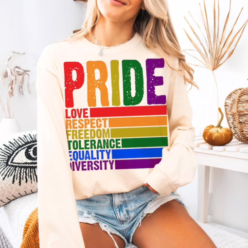 Pride Definition T Shirt, LGBT Sweatshirt, Pride Month Shirt, Equality Crewneck Sweatshirt, Gay Lesbian Gift