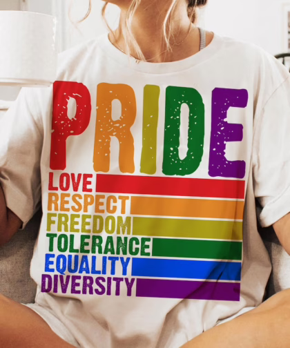 Pride Definition T Shirt, LGBT Sweatshirt, Pride Month Shirt, Equality Crewneck Sweatshirt, Gay Lesbian Gift